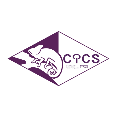 變色龍攀樹工作室