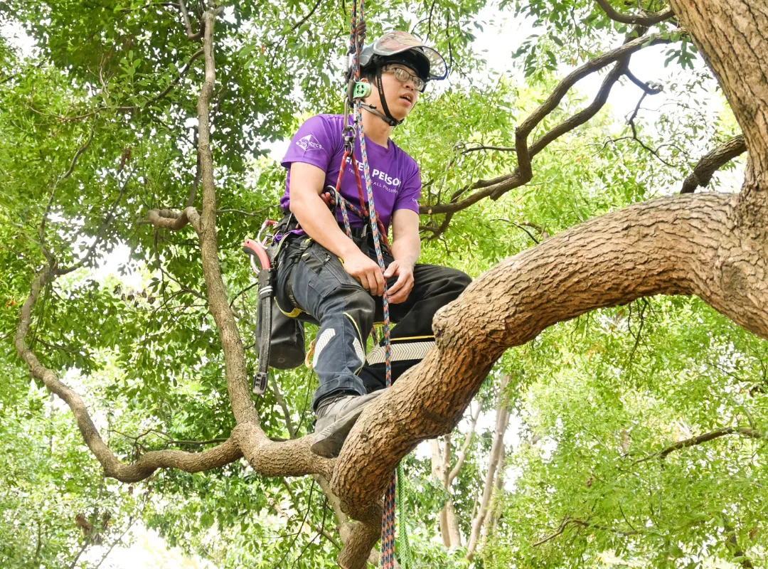 乙級攀樹教練課 (7)